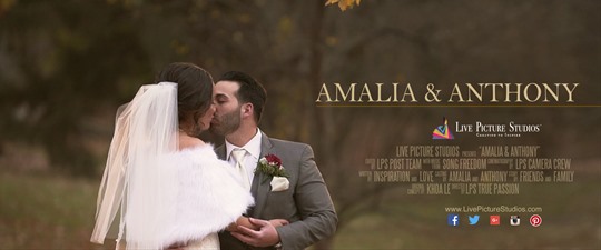 Amalia & Anthony Wedding Highlight