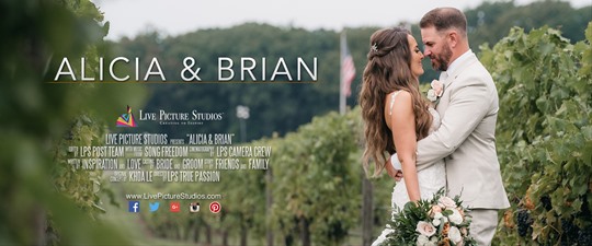 Alicia and Brian Wedding Highlight