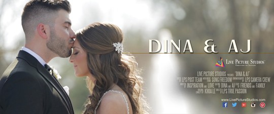 Dina and Anthony Wedding Highlights