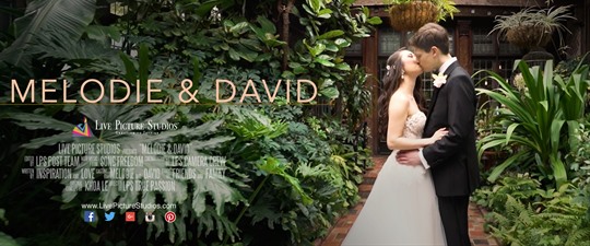 Melodie and David Wedding Highlight