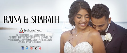Raina and Sharath Wedding Highlight