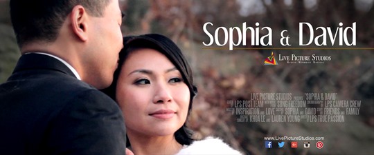  Sophia and David Wedding Highlights