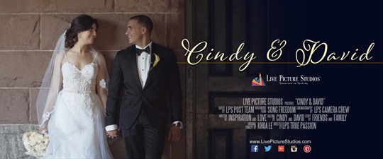 Cindy and David Wedding Highlight