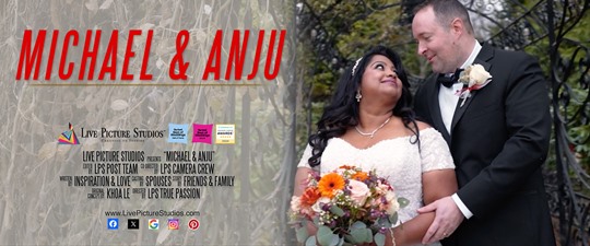 Michael and Anju Wedding Highlight