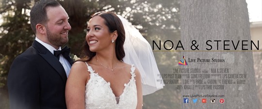 Noa and Steven Wedding Highlight
