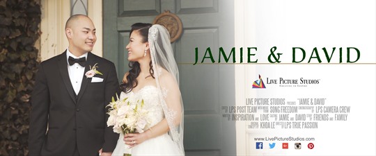 Jamie and David Wedding Highlight