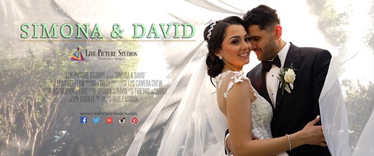 Simona and David Wedding Highlight