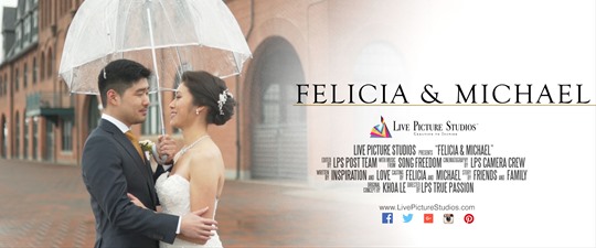Felicia and Michael Wedding Highlight