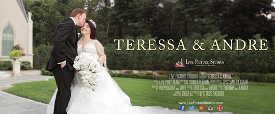 Teressa and Andre Wedding Highlight