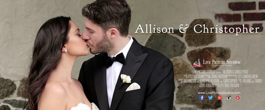 Ally and Chris Wedding Highlight