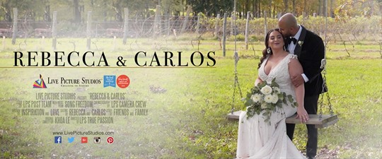 Rebecca and Carlos Wedding Highlight