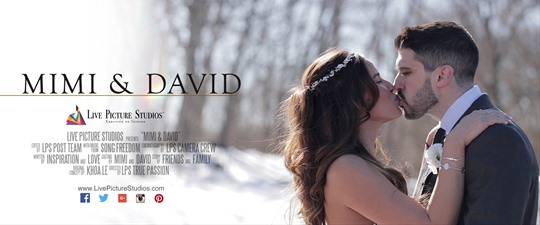 Mimi and David Wedding Highlight