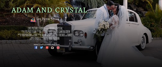 Crystal and Adam Wedding Highlight