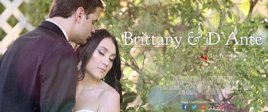 Brittany and D'Ante Wedding Highlight