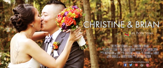 Christine and Brian Wedding Highlights