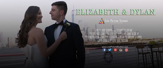 Elizabeth and Dylan Wedding Highlight