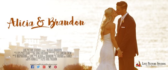 Alicia and Brandon Wedding Highlight