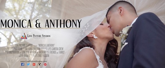 Monica and Anthony Wedding Highlight
