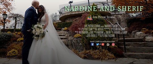 Nardine and Sherif Wedding Highglight