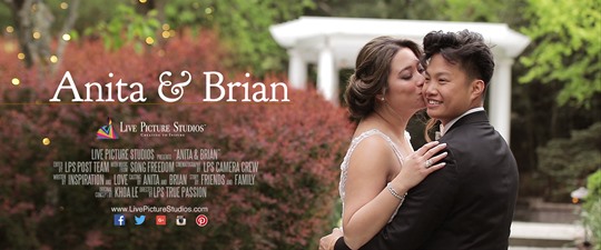 Anita and Brian Wedding Highlight