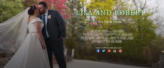 Lisa and Robert Wedding Highlight