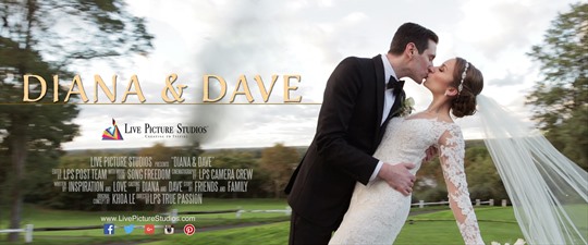 Diana and Dave Wedding Highlight